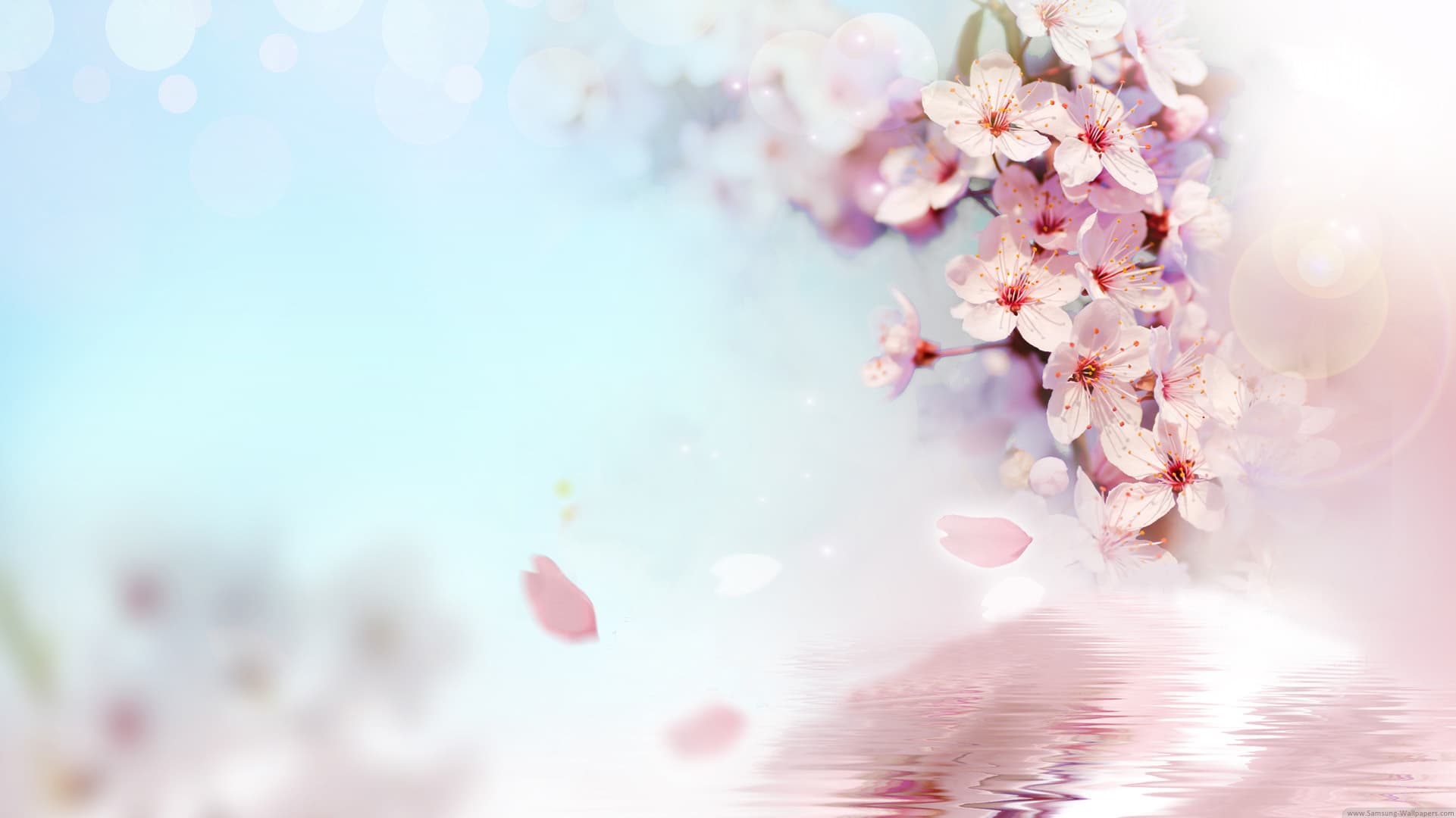Mỹ Phẩm SK-II Xách tay nội địa Nhật Bản 12